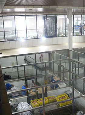 环境展示